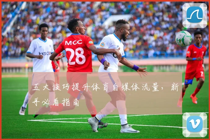 五大技巧提升体育自媒体流量,新手必看指南
