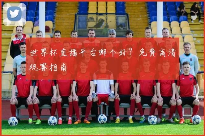 世界杯直播平台哪个好?免费高清观赛指南